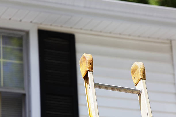 Best Historical Building Siding Restoration  in Balfour, NC